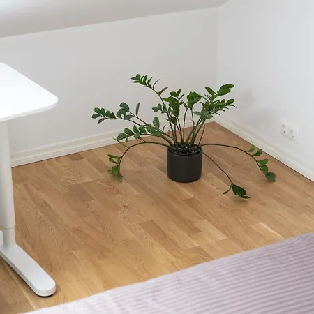 Appartement & Cozy Rooftop Flat *