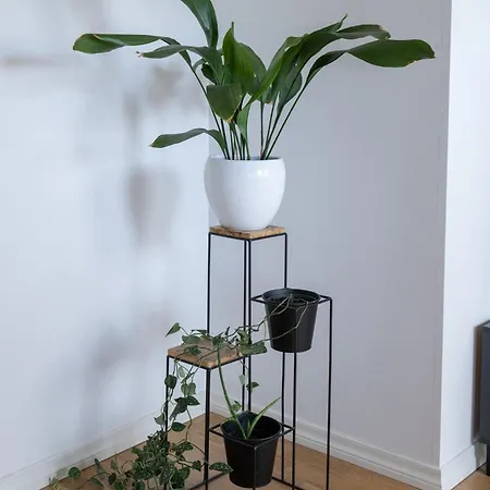 Apartament Central&cozy Rooftop Flat *