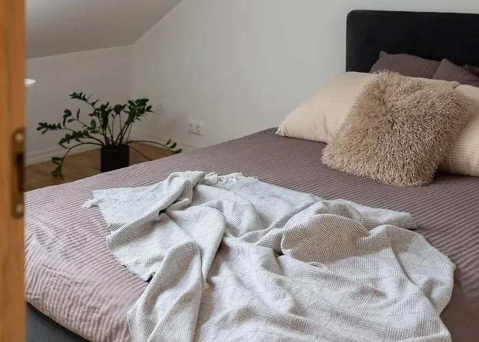 & Cozy Rooftop Flat Appartamento