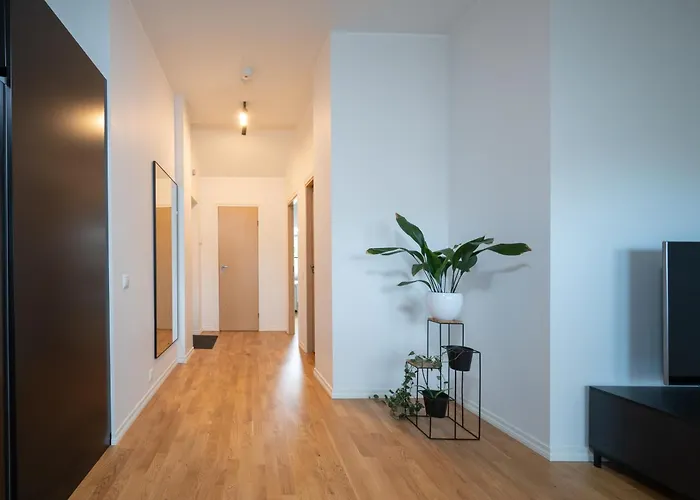 & Cozy Rooftop Flat *