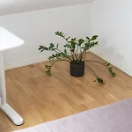 Apartment & Cozy Rooftop Flat *