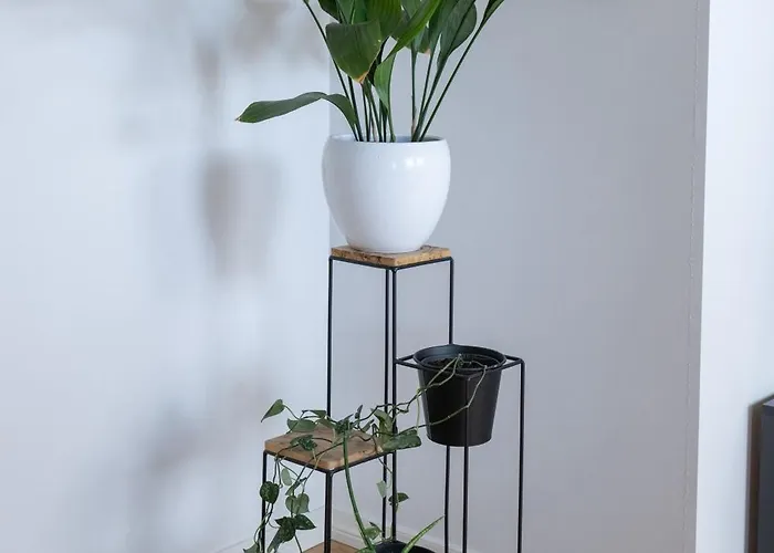 Apartamento & Cozy Rooftop Flat *